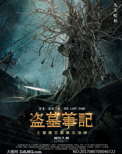 纽曼高等教育学院学位证